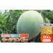 fu.... налог манго Okinawa префектура сейчас ... внезапный скорость рефрижератор * блок модель сейчас .. производство ключ tsu манго 800g(400g×2 упаковка ) 1483934