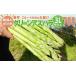 fu.... налог овощи вид спаржа Fukuoka префектура большой дерево блок ограниченное количество предшествующий предварительный заказ aspala3L размер 700g весна . утро .. утро .. прямая поставка зеленый спаржа aspala2 месяц ~...