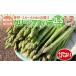 fu.... налог овощи вид спаржа Fukuoka префектура большой дерево блок ограниченное количество предшествующий предварительный заказ есть перевод нестандартный aspala2L~S размер 1.5kg весна . утро .. утро .. прямая поставка зеленый aspala...