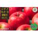 fu.... tax Nagano prefecture .. block apple sharing equipped 10kg (24~50 sphere )si nano sweet fruit exchange guarantee with translation Shinshu Nagano [ gratitude apple ] [. peace 6 fiscal year preceding...