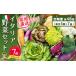 fu.... tax Saga prefecture god . city years fixed period flight 48 times Italy vegetable set Short 7 goods [ have machine vegetable incidental vegetable set Italy vegetable West vegetable fixed period flight ](H078128)