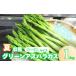 fu.... налог овощи вид спаржа Hokkaido каштан гора блок предшествующий предварительный заказ Hokkaido производство лето ..JA... юг лето. тест .[ зеленый спаржа ]S~3L 1kg передний и задний (до и после) YC014
