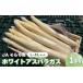 fu.... налог овощи вид спаржа Hokkaido каштан гора блок предшествующий предварительный заказ весна самый JA... юг. тест .[ белый спаржа ]L~4L 1kg передний и задний (до и после) YC012