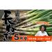 fu.... налог овощи вид лук порей Iwate префектура . камень блок Iwate префектура производство высшее приятный . земля имеется длина лук порей 5kg стандарт количество 25шт.@~ 35шт.@ высота . сельское хозяйство .| длина лук-батун длина . лук порей лук-батун . белый лук порей белый лук-батун белый...
