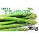 fu.... налог овощи вид спаржа Iwate префектура Hachiman flat город скорейший предварительный заказ .. средний 2026 год 1 месяц отправка начало предположительно Iwate префектура производство .. утро .. зеленый спаржа 600g (200g×3 пачка )...