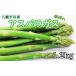 fu.... налог овощи вид спаржа Iwate префектура Hachiman flat город скорейший предварительный заказ .. средний 2026 год 1 месяц отправка начало предположительно Iwate префектура производство .. утро .. зеленый спаржа 1.2kg(200g×6 пачка )...