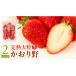 fu.... налог клубника Ibaraki префектура Sakura река город { 2027 год .. минут }... клетка .260g×2 упаковка KEK местного производства клубника клубника ... было использовано фрукты фрукты зима весна .BC024sa