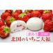 fu.... tax Iwate prefecture one Seki [ with translation ] north country. strawberry large luck 30 piece entering freezing piece packing (1 piece 40g×30 piece ) [ popular sweets raw cream strawberry large luck fwafwa......