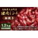 fu.... налог . мясо Tottori префектура большой гора блок GB-16. мясо фарш (...)1.2kg(300g×4 упаковка )