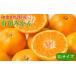 դ뤵Ǽ ʪ ߤ ²λ ҾĮ   ²λͭĤߤ4kg(2L) 2025ǯ11ܺ缡ȯTM199