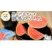fu.... налог арбуз Ibaraki префектура . запад город JA север Tsukuba чёрный ... ..[... ...] 2 шар 2026 год производство арбуз фрукты фрукты маленький шар арбуз маленький шар запад ... было использовано te The...