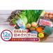 fu.... tax Nagasaki prefecture .. city [ all 12 times fixed period flight ].. production food ingredients assortment BOX[ vegetable ... cow ] [JBF029].. cow lean ...... assortment vegetable egg fresh fish set...