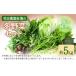 fu.... налог комплект *... Fukuoka префектура седло рука блок зима овощи комплект примерно 5kg цветок рисовое поле сельское хозяйство .{11 месяц последняя декада -2 конец месяца примерно отгрузка } китайская капуста дайкон большой лист весна . таро капуста мизуна leaf lettuce bro...