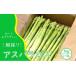 fu.... налог овощи вид спаржа префектура Fukuoka город Ogoori предшествующий предварительный заказ отправка 2026 год 4 месяц спаржа Ogoori производство утро .. спаржа 1kg (L,2L размер .) овощи . выгода сельское хозяйство .