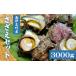 fu.... налог Sazae Shizuoka префектура юг . бобы блок ... комплект D... Sazae . морепродукты BBQ.. жарение sashimi барбекю подарок &lt;AG-8&gt;