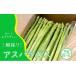 fu.... налог овощи вид спаржа префектура Fukuoka город Ogoori предшествующий предварительный заказ отправка 2026 год 4 месяц спаржа Ogoori производство утро .. спаржа 1kg (SS,S,M,L,2L размер .) овощи ....