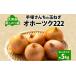 fu.... налог овощи вид шар лук порей Hokkaido новый . Цу . Hokkaido новый .. . производство рука . san .. лук репчатый M~L размер примерно 5kgo сигнал tsuk222 шар лук порей лук tama лук-батун oni унция la...