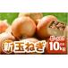 fu.... налог овощи вид шар лук порей Fukui префектура ... город предшествующий предварительный заказ .. длина новый шар лук порей 10kg( размер S M L Mix ) рисовое поле ......... мягкость вызывающий чувство гордости шар лук порей |.....