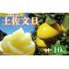 fu.... налог фрукты. ... Kochi префектура чёрный . блок земля . помело 10kg 4L. для бытового использования помело ..... рисовое поле сельское хозяйство . Kochi чёрный . блок .. цитрусовые фрукты фрукты большой шар помело 4L помело 10kg...