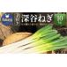 fu.... налог овощи вид лук порей Saitama префектура Fukaya город земля имеется Fukaya лук-батун 10kg 11218-0538