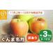 fu.... tax Nagano prefecture small cloth . block [ with translation ]... name month approximately 3kg 6~12 sphere [... Farmer z] don't fit non-standard home use fruit fruit apple apple .. Nagano prefecture...