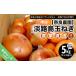 fu.... налог овощи вид шар лук порей Hyogo префектура юг ... город сельское хозяйство дом прямая поставка Awaji Island шар лук порей 5kg размер различный 