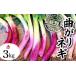 fu.... налог овощи вид лук порей Fukushima префектура .. река город Meiji из .. традиция овощи [ изгиб лук-батун красный ] примерно 3kg F7X-0074