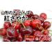 fu.... налог фрукты вид вишня Yamagata префектура Yamagata город Yamagata. вишня ....L размер и больше 720(180g×4). мир 8 год производство предшествующий предварительный заказ FS25-523.. было использовано фрукты фрукты гора...