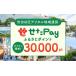դ뤵Ǽ ݥ  ë ë ϰ̲ߡ֤Pay դ뤵ȥݥ30,000pt1pt1ߡ30,000ʬ ڤ ǥϰ̲ 
