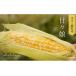 fu.... tax Yamanashi prefecture Ichikawa Misato block premium corn [...]20 pcs insertion [2024 year 6 month on . from shipping ] Yamanashi prefecture Ichikawa Misato block production Inakakara[5839-1819]