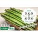 fu.... налог овощи вид спаржа Kagawa префектура ... город 2 месяц последняя декада примерно ~ отправка kato Chan .... ... длинный весна .1kg очень толстый 2L и больше 