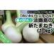 fu.... налог овощи вид шар лук порей Hyogo префектура юг ... город весна. .. Awaji Island. новый лук репчатый (10kg) рассылка 2 месяц ~5 месяц последняя декада 