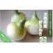fu.... налог овощи вид шар лук порей Hyogo префектура юг ... город Awaji Island производство новый шар лук порей 5kg рассылка 4 конец месяца примерно ~