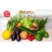 fu.... налог комплект *... Shizuoka префектура пакет . город .. длина овощи упаковка установленный срок рейс 3 раз сезон. овощи комплект набор 8 товар передний и задний (до и после) овощи комплект овощи набор 3 месяцев ja...