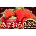 fu.... tax Fukuoka prefecture small bamboo block *2025 year shipping minute *[ preceding reservation ] strawberry ....1620g ( approximately 270g×6 pack ). free shipping [ put on day designation un- possible ]{3 month middle .-4 end of the month about shipping expectation...