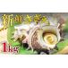 fu.... налог Sazae Shimane . рисовое поле город Япония море. свежий ...1kg Sazae морепродукты рыба моллюски моллюски ... свежий Япония море гора .. закуска цукудани .. жарение закуска рефрижератор 