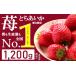 fu.... tax Tochigi prefecture genuine hill city [ preceding reservation ] popular super rise!!..... strawberry 1200g ( 4 pack ) limited time limited amount l strawberry Japan one mistake . respondent . agriculture . water production . most many...