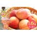 fu.... налог .. Yamanashi префектура дудка дуть город 2026 год отправка предшествующий предварительный заказ фрукты королевство дудка дуть город производство. персик 1.6kg и больше 5~8 шар 168-002-26y