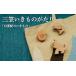 �ӂ邳�Ɣ[�� �A�N�Z�T���[ �u���[�` �k�C�� �O�}�s ����̖ؐ��u���[�`�������̂�����u�����I�̂������́v 17035