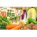 fu.... налог комплект *... Tochigi префектура внизу . город сезон. . овощи случайный комплект 7~8 товар | овощи . овощи лист предмет овощи корнеплоды пестициды не использование химия удобрение не использование необычный Tochigi префектура внизу...