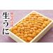 fu.... налог морской еж Hokkaido корень . город B-40026ezo морской еж hemicentrotus 150g×1.10 месяц средний . после отправка 