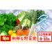 fu.... налог комплект *... Tokushima префектура прекрасный лошадь город предшествующий предварительный заказ .. свежий . овощи рейс 12 месяц зима рейс 8~10 товар UGG li поддержка прекрасный лошадь {12 месяц сверху .-12 конец месяца примерно отгрузка } Tokushima префектура прекрасный лошадь город зима ....