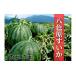 fu.... налог арбуз Niigata префектура юг рыба болото город предшествующий предварительный заказ Niigata префектура юг рыба болото производство . цвет . арбуз большой шар 1 шар 2026 год 7 месяц последняя декада отправка доставка на день указание не возможно 