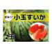 fu.... налог арбуз Niigata префектура юг рыба болото город предшествующий предварительный заказ Niigata префектура юг рыба болото производство .. есть . цвет . арбуз маленький шар 2 шар 2026 год 7 месяц средний . отправка доставка на день указание не возможно 