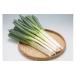 fu.... tax Yamagata prefecture . inside block Yamagata prefecture . inside production length leek leek ..5kg(2L 30~33ps.@)(2024 year 7 month middle .~10 month last third shipping payment time limit :2024.10.20)