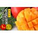 fu.... налог манго Okinawa префектура сейчас ... сейчас .. манго специальный отбор 1kg и больше предшествующий предварительный заказ 2026 год 6 месяц средний .~8 месяц средний . примерно отправка производство человек прямая поставка 