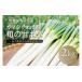 fu.... налог овощи вид лук порей Miyagi префектура угол рисовое поле город . лук порей 2kg( примерно 10шт.@~17шт.@) лук-батун . овощи .. стул . жарение udon тест .. суп мисо тяхан прямая поставка от производителя . данный земля популярный...