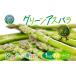 fu.... налог овощи вид спаржа Hokkaido прекрасный глубокий блок 2026 год отправка зеленый aspala1kg (M) превосходящий товар . свежий овощи утро ..aspala спаржа подарок прямая поставка от производителя ....