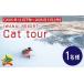 դ뤵Ǽ å ̳ƻ Į IWANAI RESORT Cat tour ticket 1̾ F21H-416 1̾