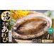fu.... tax Fukui prefecture beautiful . block [ limited time ] natural!. abalone extra-large ogai* mega i each 2 piece total 4 piece set freshness eminent sashimi . structure . butter roasting ....[2024 year 6 month 20...